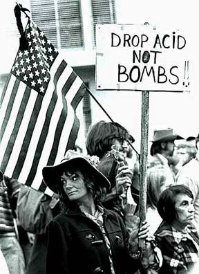 [Picture of Drop Acid Not Bombs sign at anti War March]