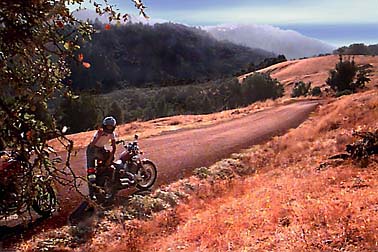 [Photo of Mad Max on her motrcycle in Sonoma, CA
